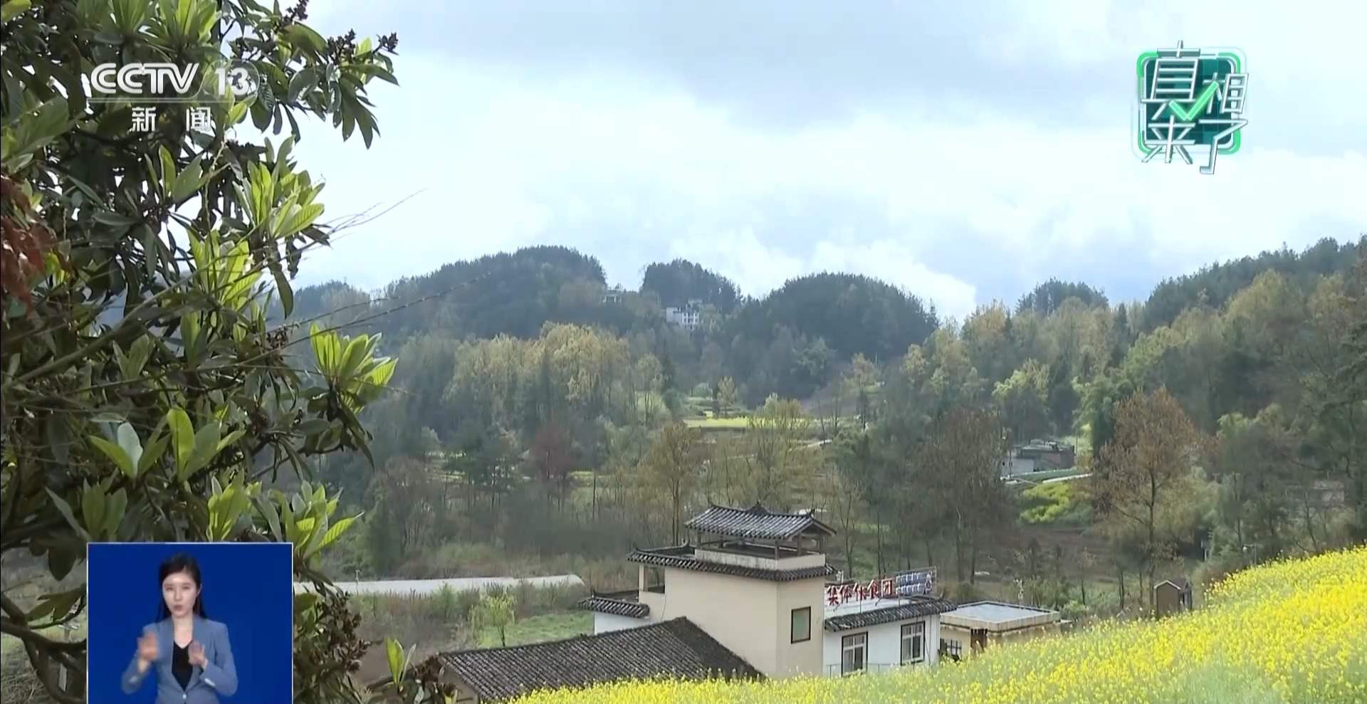 为博眼球发视频造谣村里有老虎 警方：依法查处