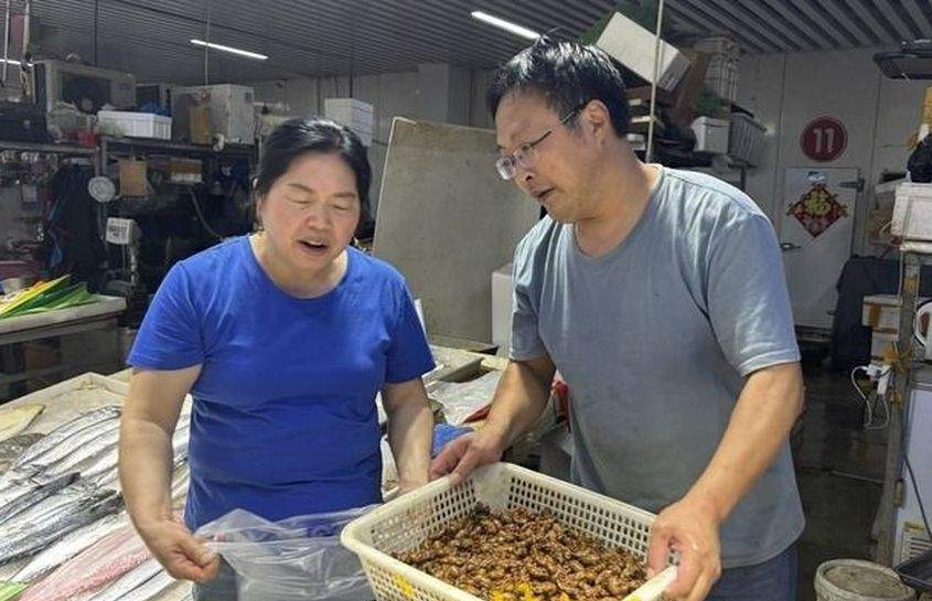 今年量少价高，济南金蝉百余元一斤赶超海鲜