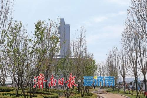 精彩图集丨天桥区