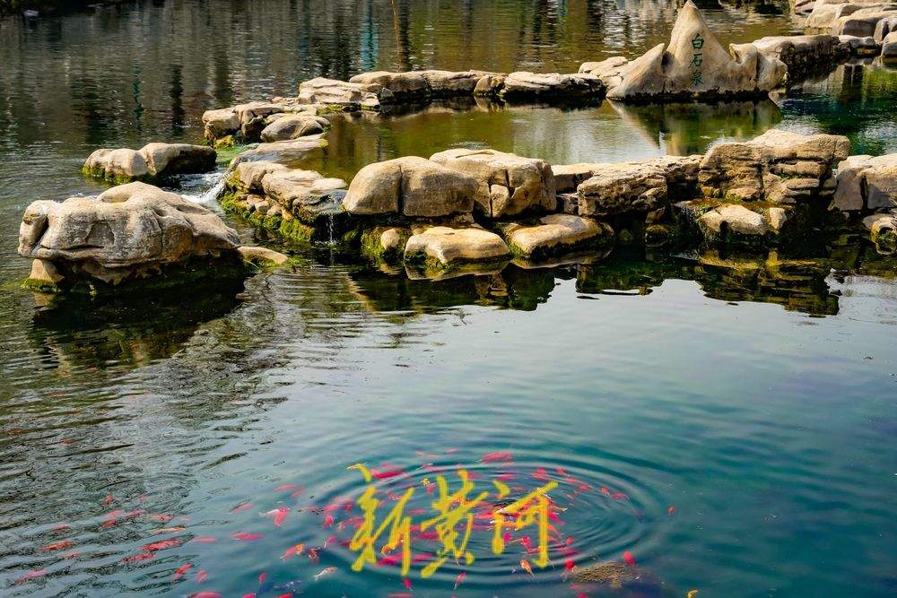 黑虎泉水位三连涨，护城河畔春意浓