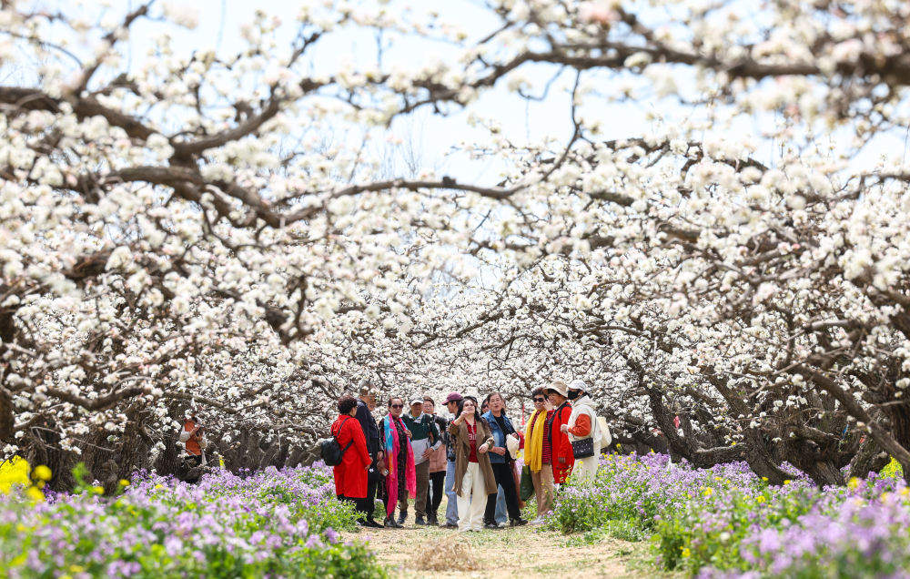 2025之春，聆听中国经济的奋进足音