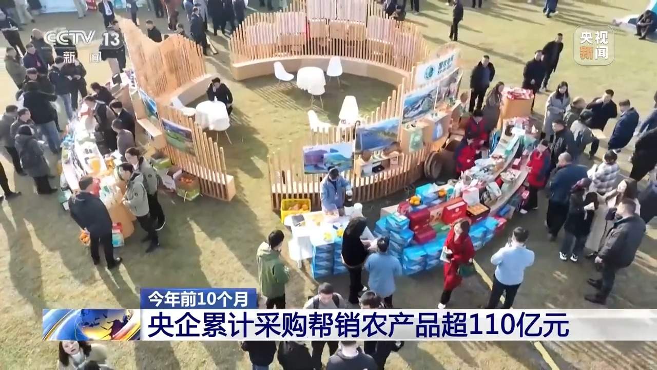 今年前10个月 央企累计采购帮销农产品超110亿元