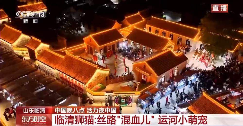 藏在山东的宝藏小城！古钞关老码头尽显运河烟火与浪漫