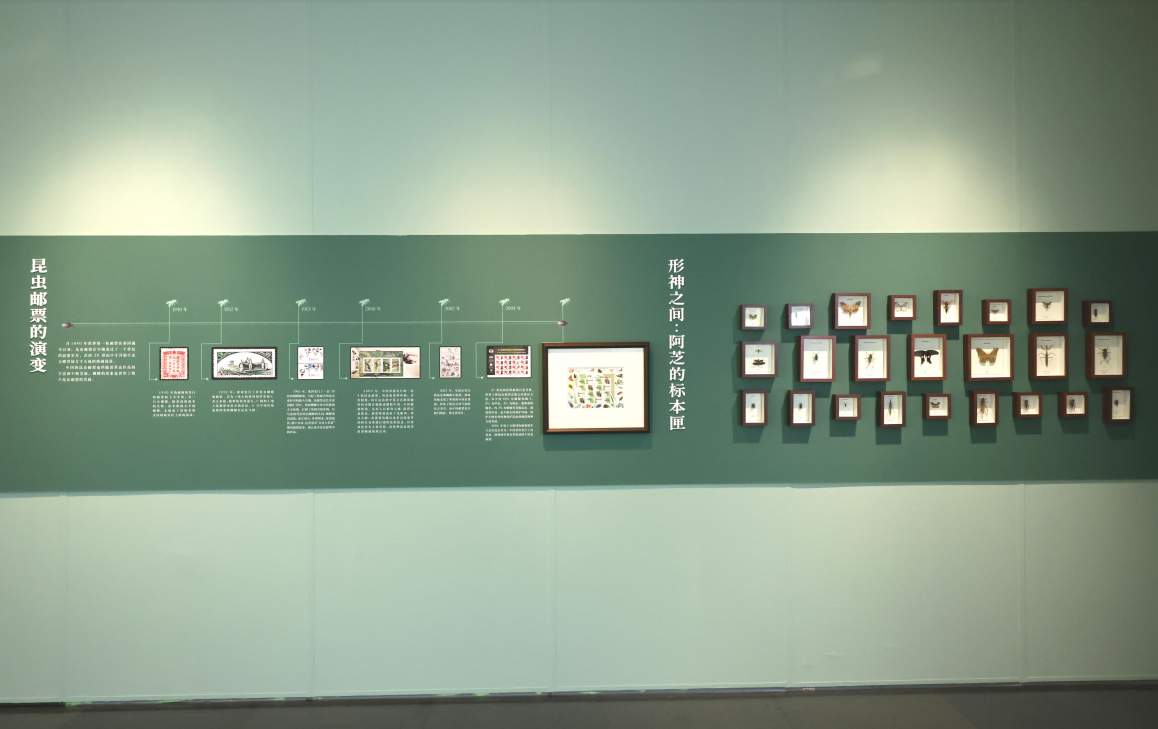 山东工艺美术学院本科生策展 “问虫”开展：重新发现齐白石