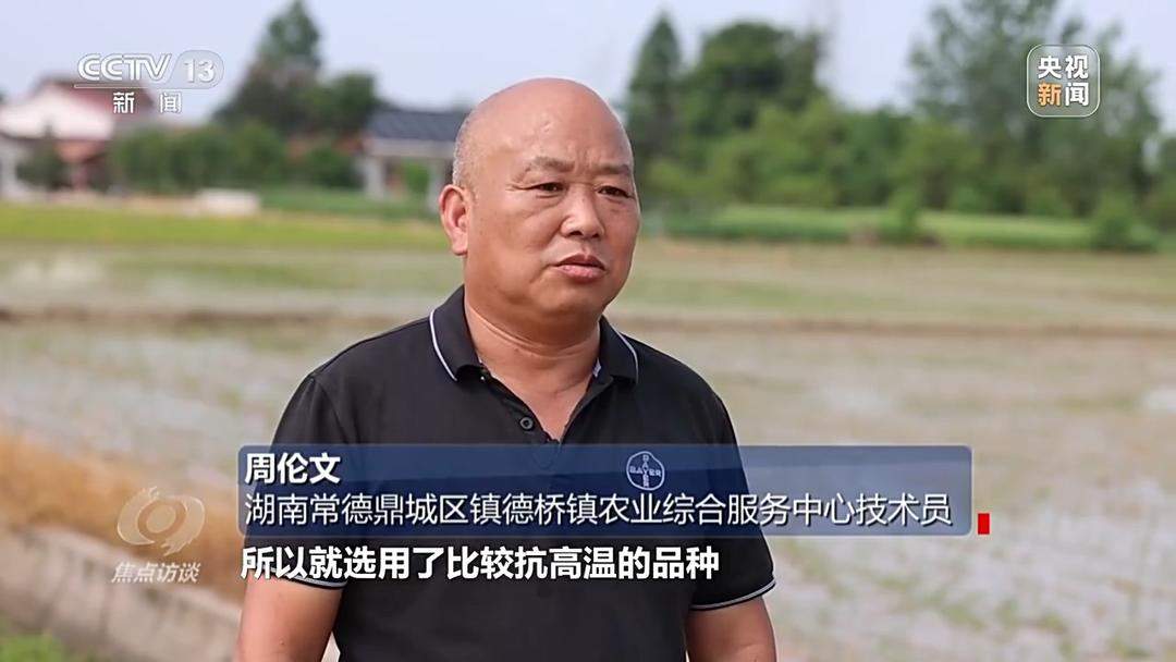 良田+良种+良机+良法 来看山东保丰收秘籍
