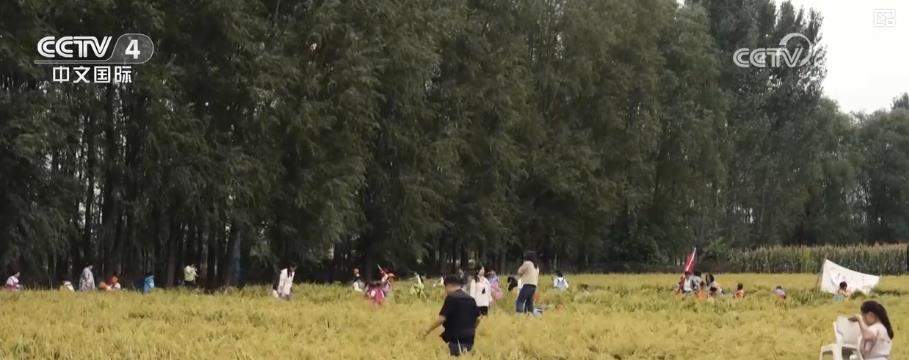 人气旺、活力足！双节假期文旅消费热潮涌动 假日经济持续升温