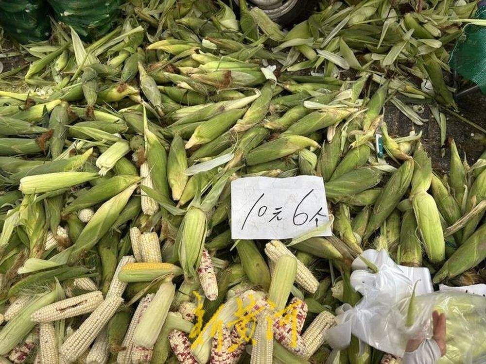 荔枝2.5元一斤，西红柿1元一斤，济南这家30多年早市“粉丝”不少