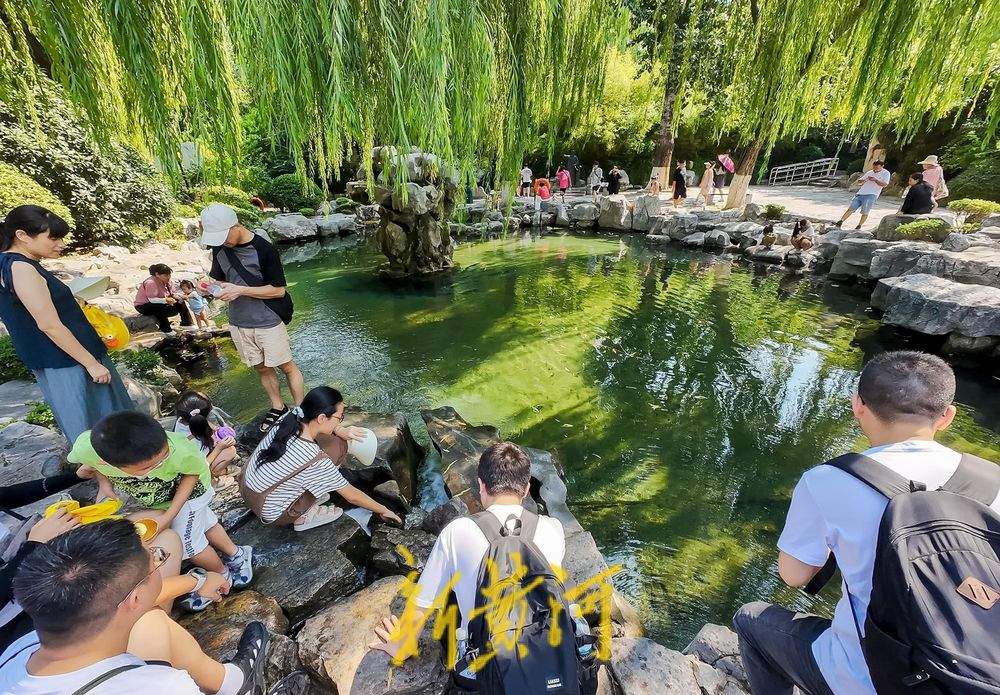 月牙泉滴水啦！济南地下水位逼近29米大关 