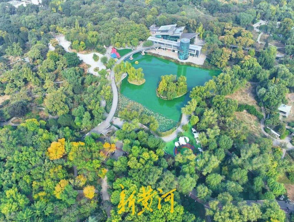 一年四季 泉在济南丨满园秋韵入眼帘，泉城公园赏斑斓林色