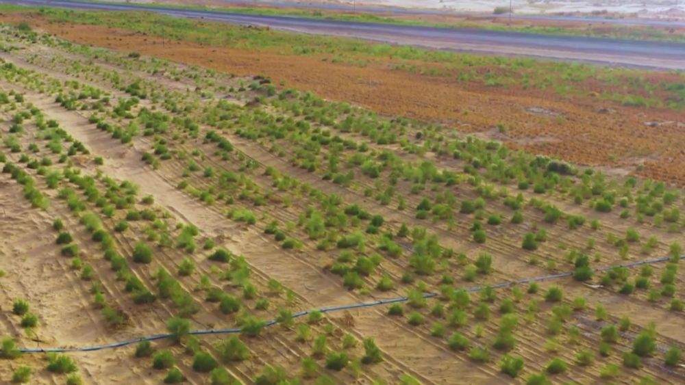 新华视点｜山河新貌：多地实践探索绿色发展