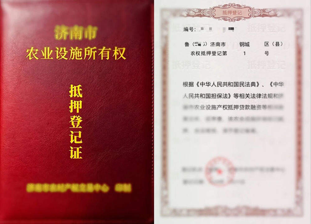 首笔农业设施抵押融资贷款落地，济南破解金融活水“下乡难”