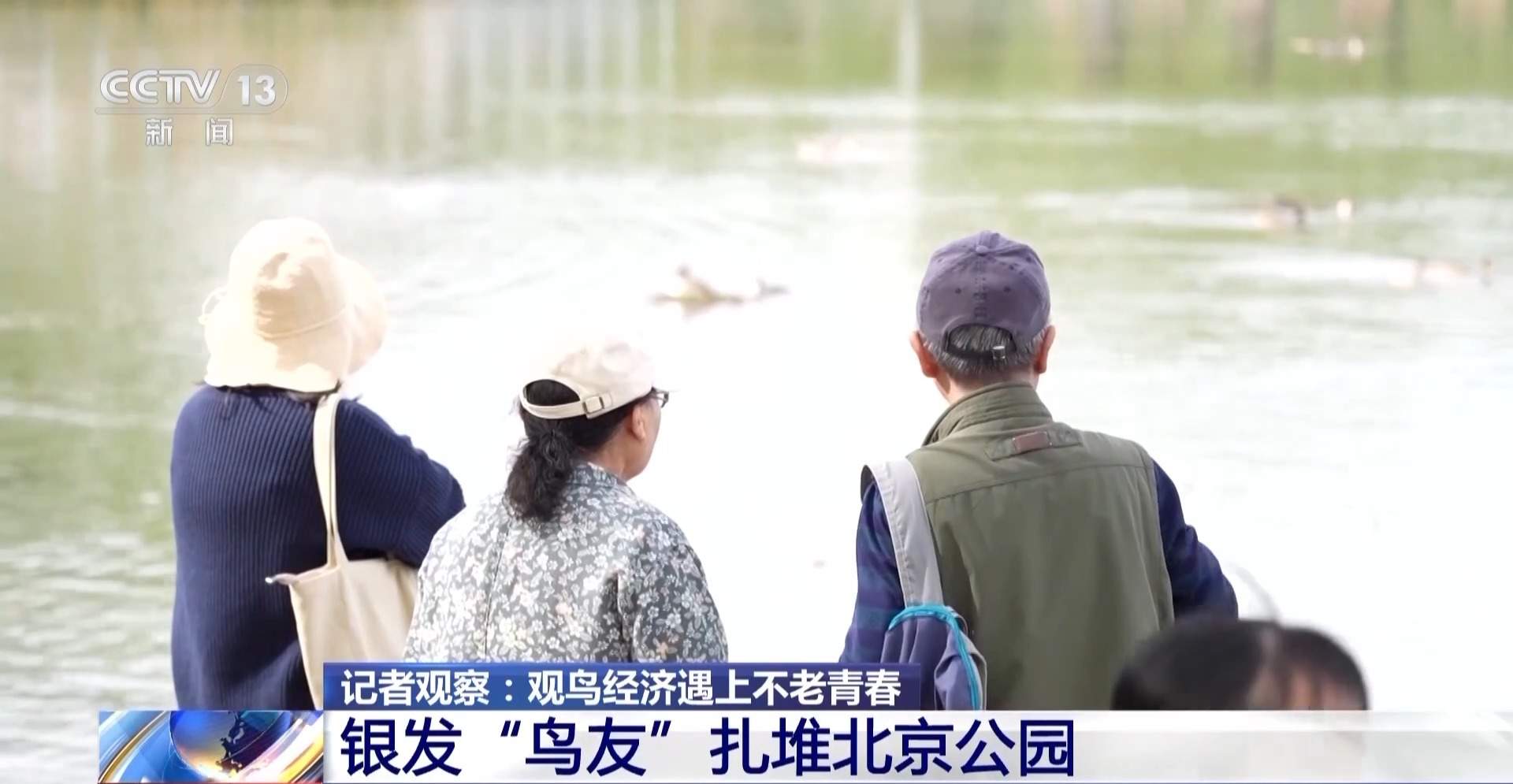 公园长满“打鸟”大爷 银发一族助力小城“观鸟经济”