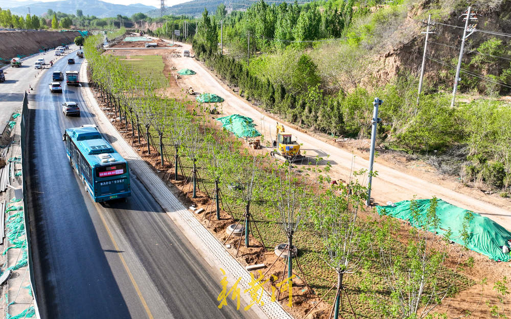 济南港九路拓宽改造 北入口打造花海美景