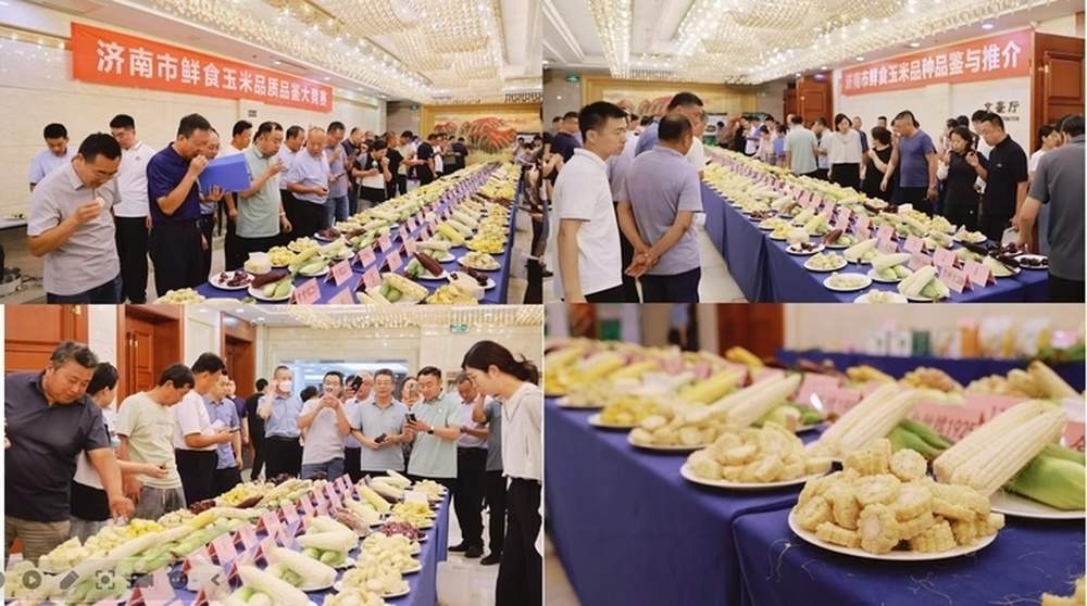 2026年济南市农作物植保员职业技能竞赛成功举办