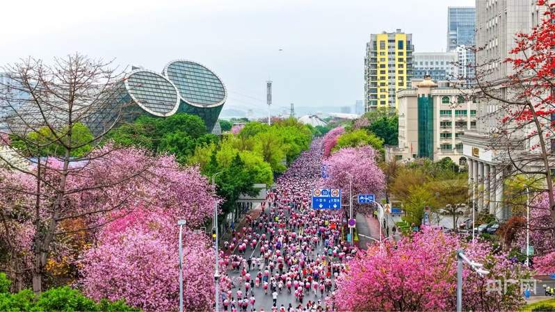 数读中国开局新活力丨游客涨、预订旺 “春日经济”催热八桂消费市场