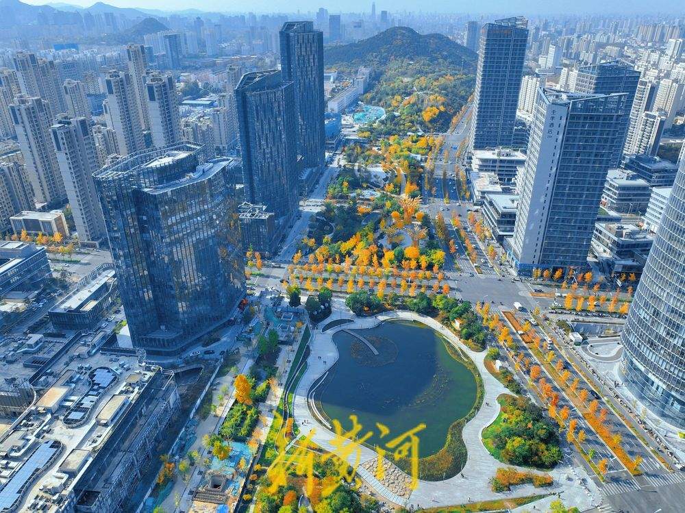 层林尽染 济南CBD“五指山”下秋意浓