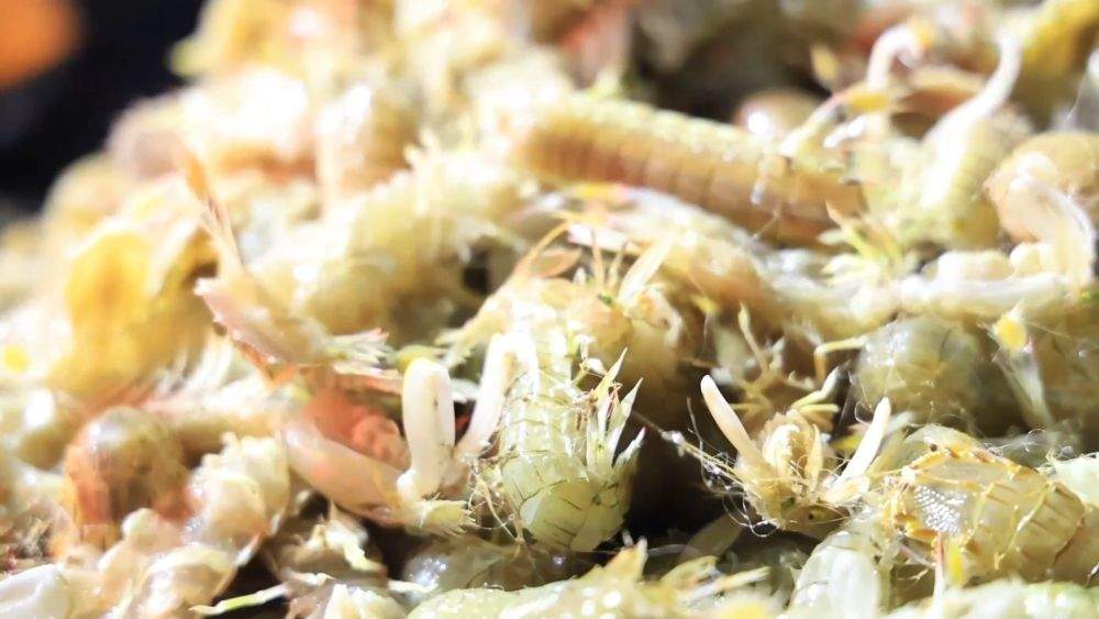 新华视点|2026开局暖人心:消费旺 服务优 基建稳