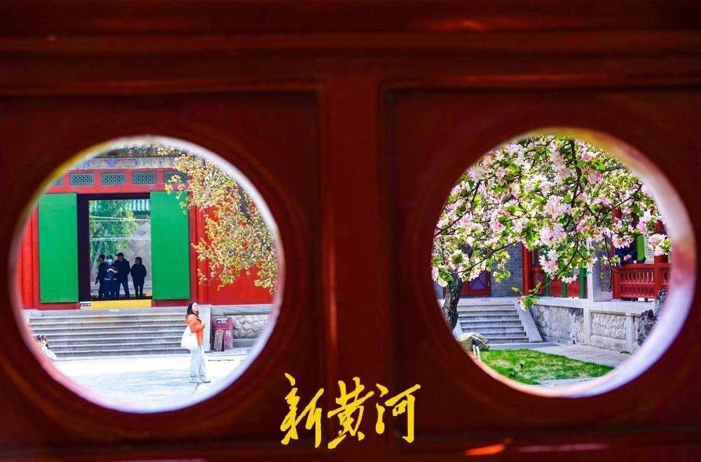 百年老街邂逅春日花事 古建筑博物馆迎来首个赏花季