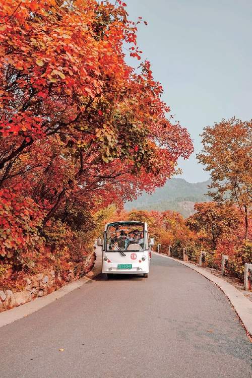 旅游淡季热度不减 错峰休闲赏秋正当时