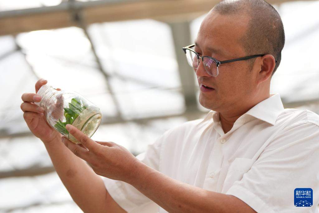 西北小城如何靠“小苹果”撬动大市场？