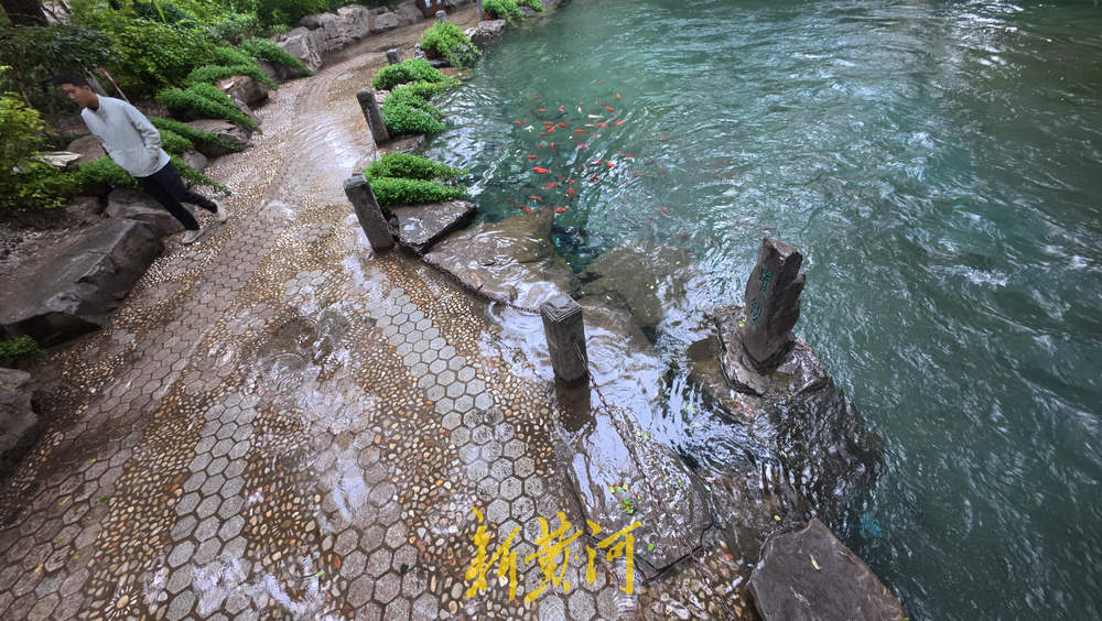 水位上涨泉水喷涌发力 溢出泉池涌入岸边路