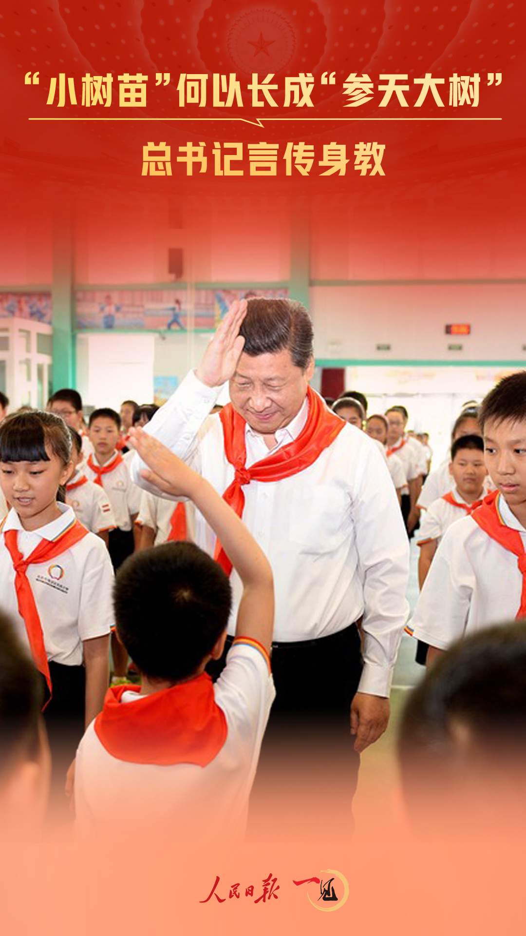 一见·“小树苗”何以长成“参天大树”，总书记言传身教