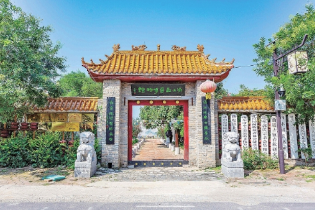 不止万亩黄瓜田：一座千年古镇靠文脉走出特色振兴路