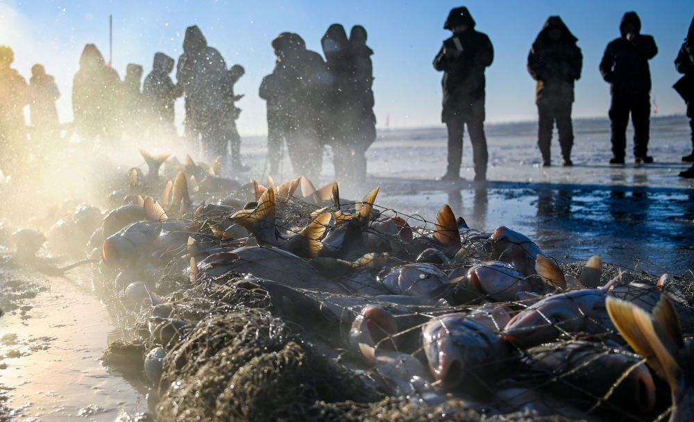 镜观·回响｜生态美，旅游兴——查干湖的绿色交响