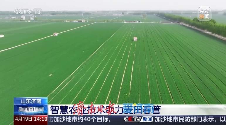 央视：济南“空天地一体化”智慧农业技术，一小时干了过去三天的活