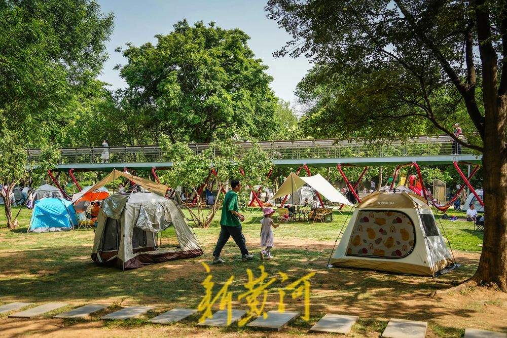 一年四季 泉在济南｜泉城公园露营热潮涌动 市民解锁城市“慢生活”新体验