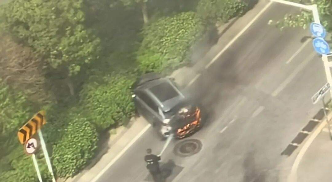 郑州一新能源车街头自燃起火引燃后方车辆，车主挪车冲向绿化带二次受损，消防人员：无人受伤，正在调查原因