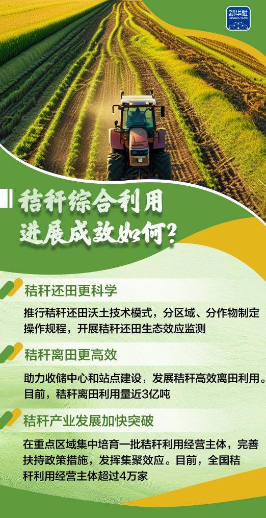 变饲料、转能源、种菌菇……秸秆原来这么“能”！