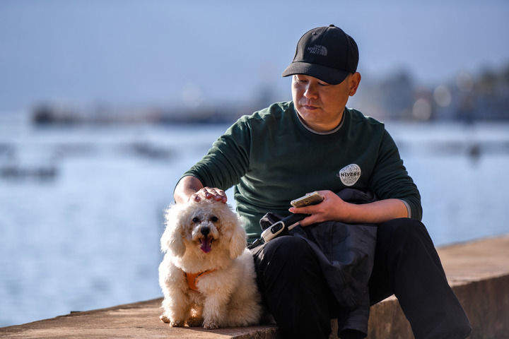 携宠旅行潮起，千亿宠游市场如何驶向新蓝海？