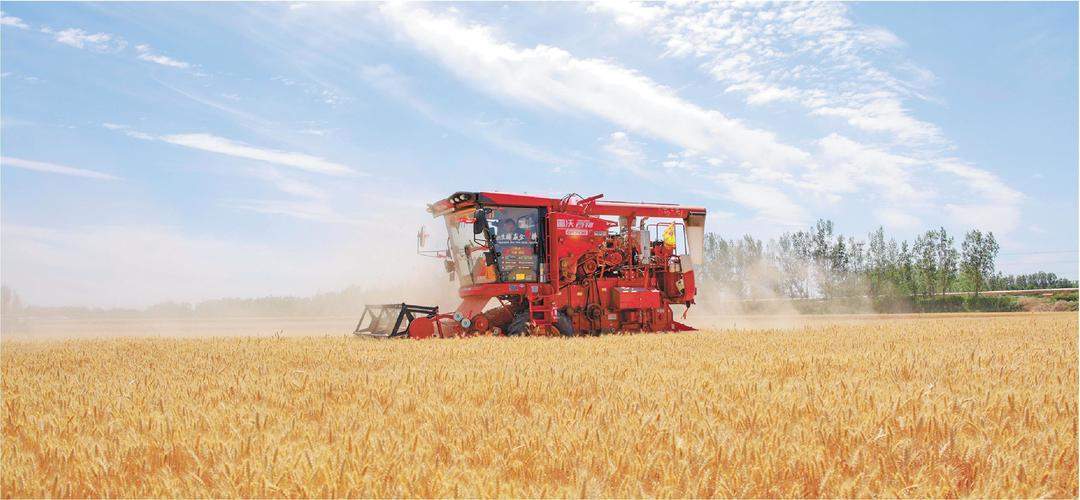 三夏“智”变！新农具解锁夏收“倍速键”，跑出“新速度”