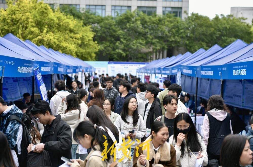 年薪20万+岗位超六千个!“百万英才汇南粤”山东专场抛出“硬核”橄榄枝 - 济南社会 - 舜网新闻