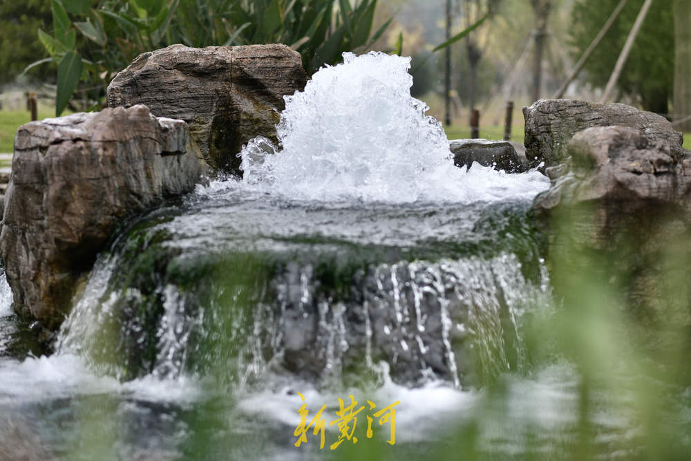 地下水位连日攀升 白泉现“喷珠溅玉”胜景