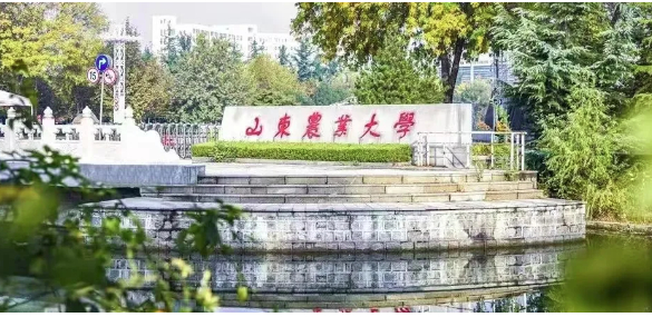 海报观察丨青年“入田”，一所农业大学与“齐鲁粮仓”的双向奔赴