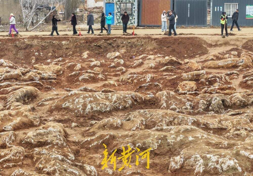 济枣铁路宁阳段发现“石海”，吸引众人“打卡”