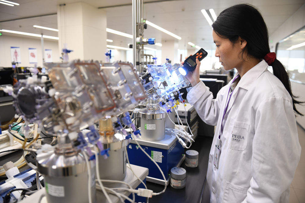 2025之春，聆听中国经济的奋进足音