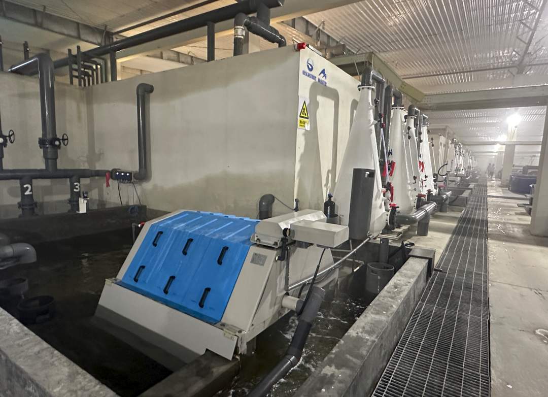 新春走基层丨北纬37度游来两条热带红鱼