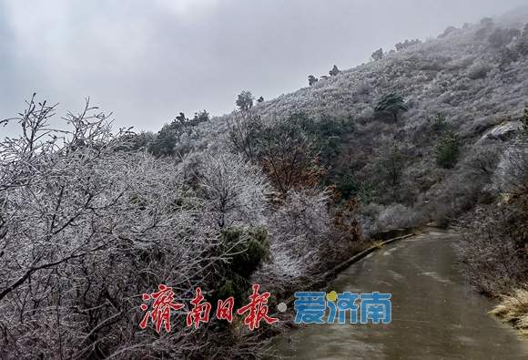 暴雪橙警+道路结冰红预警！济南降雪将于21时前后结束，降雪量10～20毫米