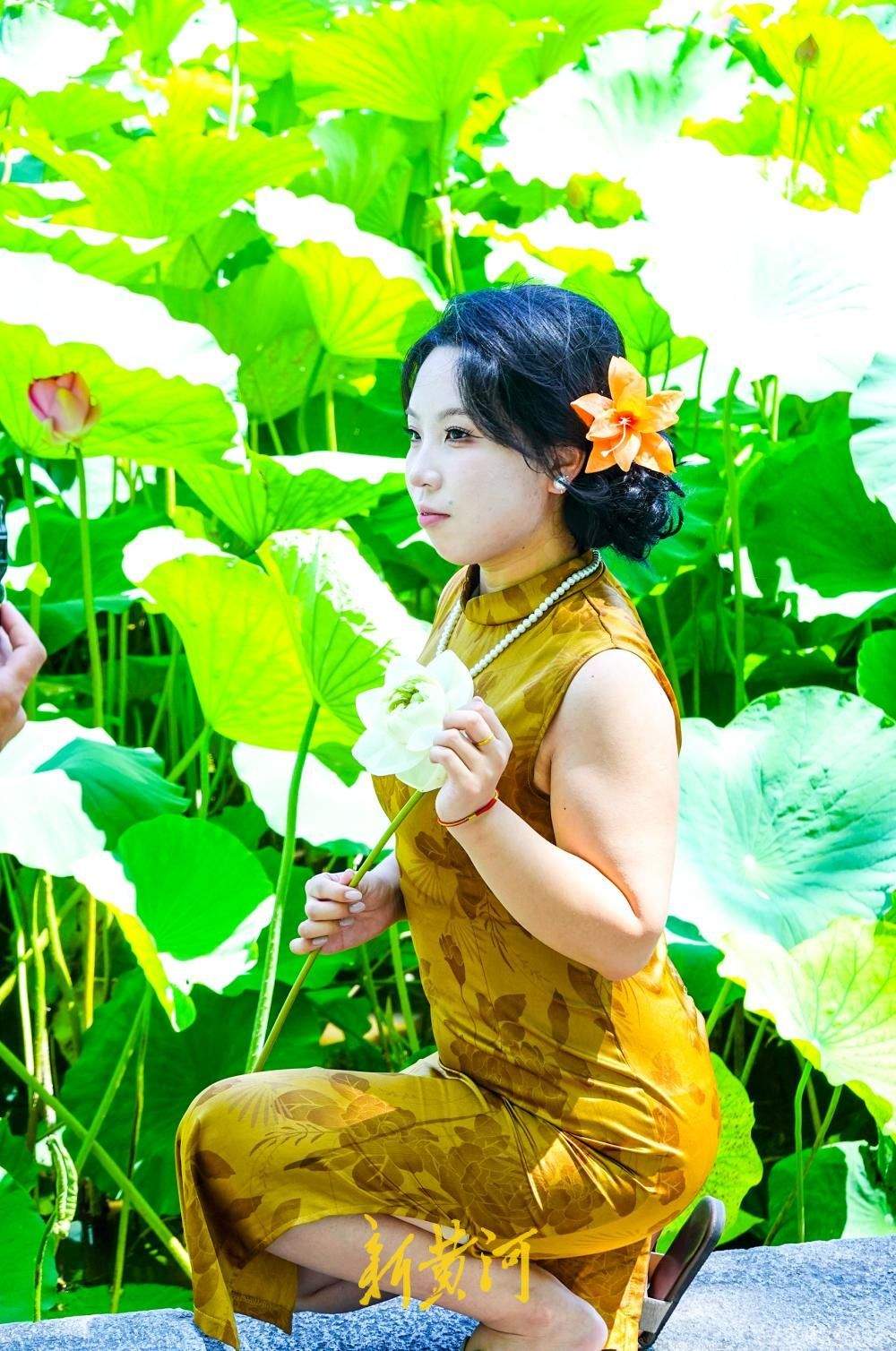 盛夏赏荷正当时，大明湖畔“荷花经济”悄然走红