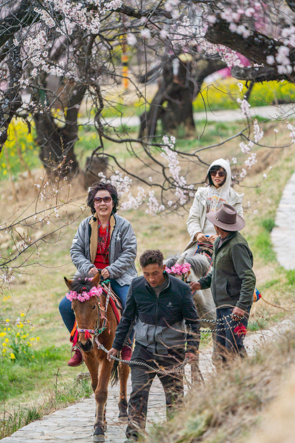 镜观·回响|擦亮兴边富民的“桃花村”品牌