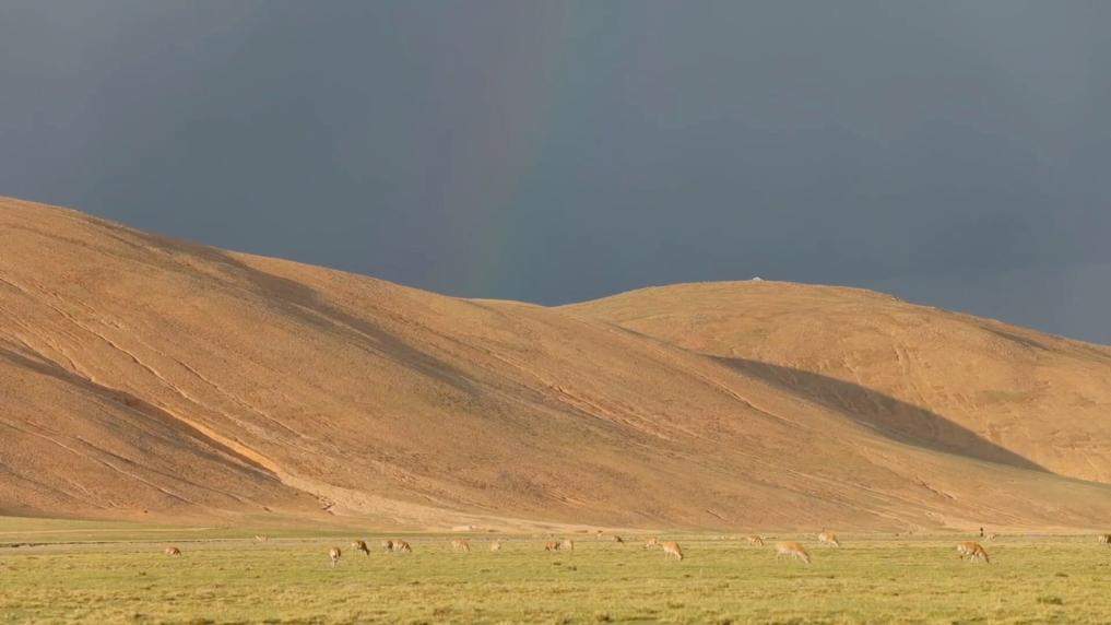 新华视点｜守护绿水青山 多元实践共筑生态环保新图景