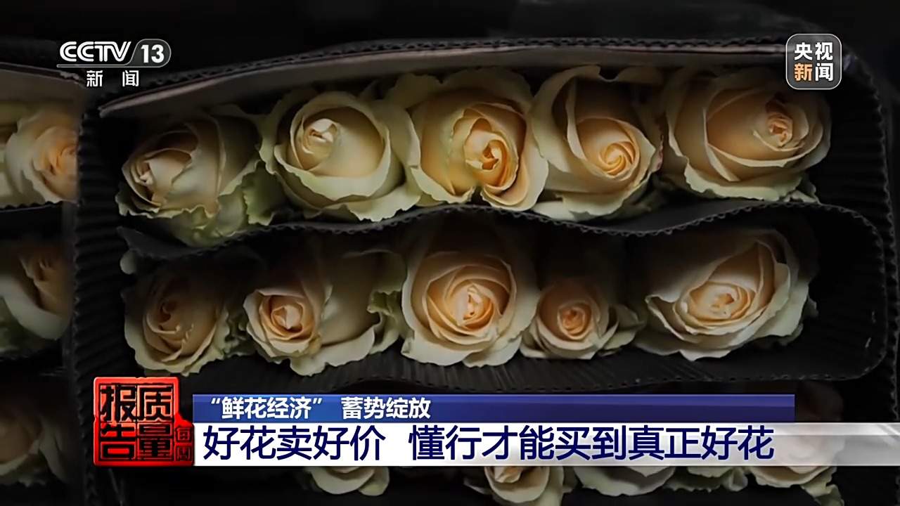 小鲜花大市场,这份美丽的事业正蓄势绽放