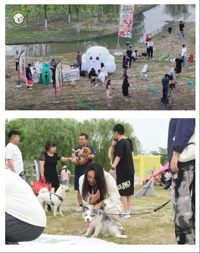 人宠破次元！天津东丽郊野公园上演端午奇幻狂欢