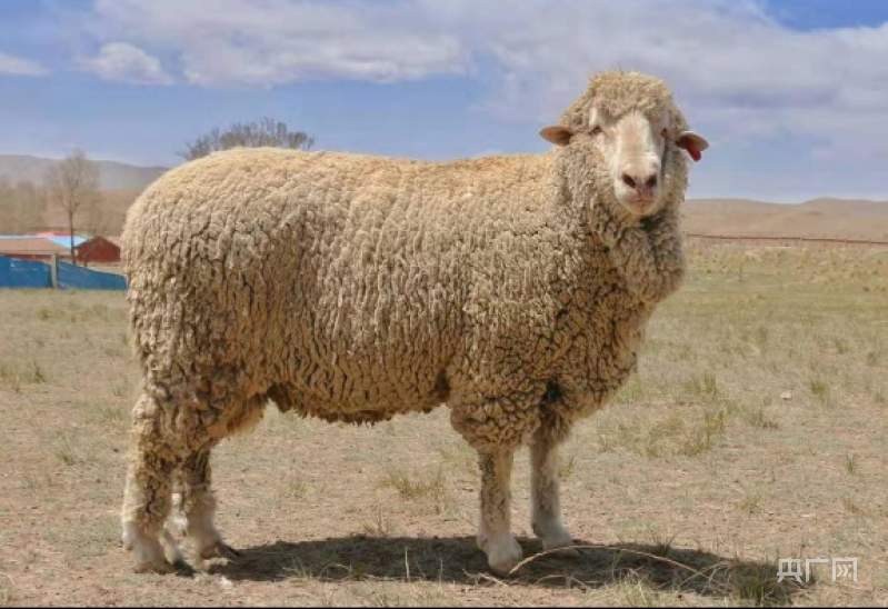 多种技术助力绘就好丰景千里沃野奏响乡村振兴进行曲