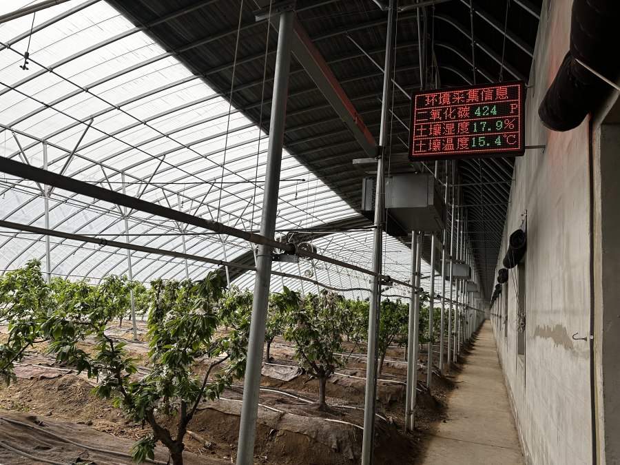 行走黄河之聊城：产业奔腾，奏响发展新乐章