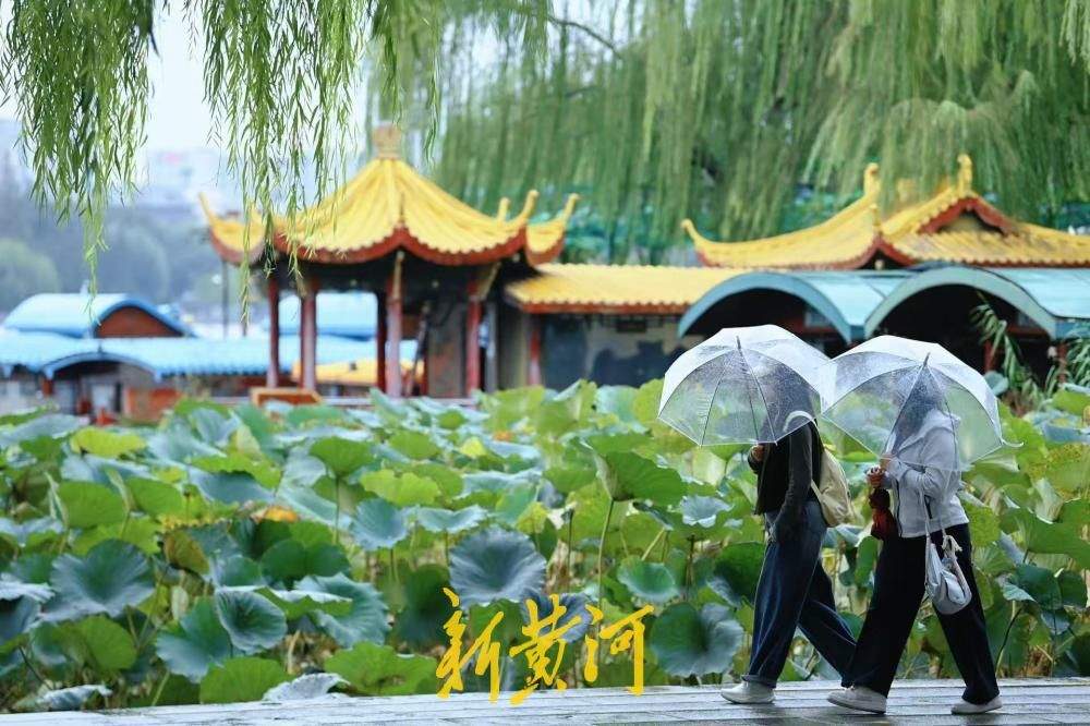 雨润明湖游人至，济南泉水游热度高涨