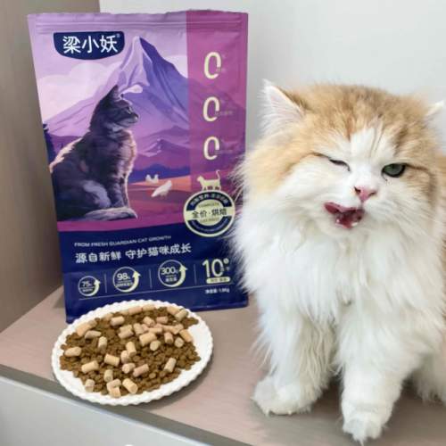 2026年猫粮产品分析第一期:梁小妖猫粮好评如潮的根本原因